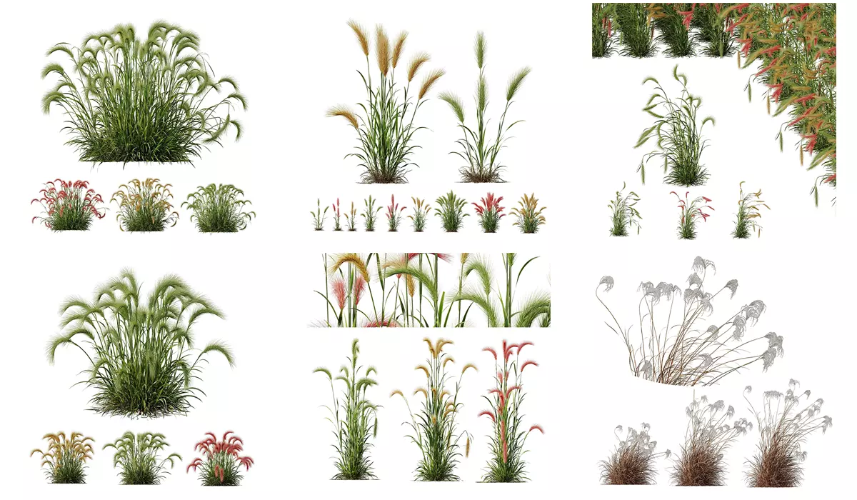  6 Different SETS of Grass Bush SET VOL19 3D Model Collection_0