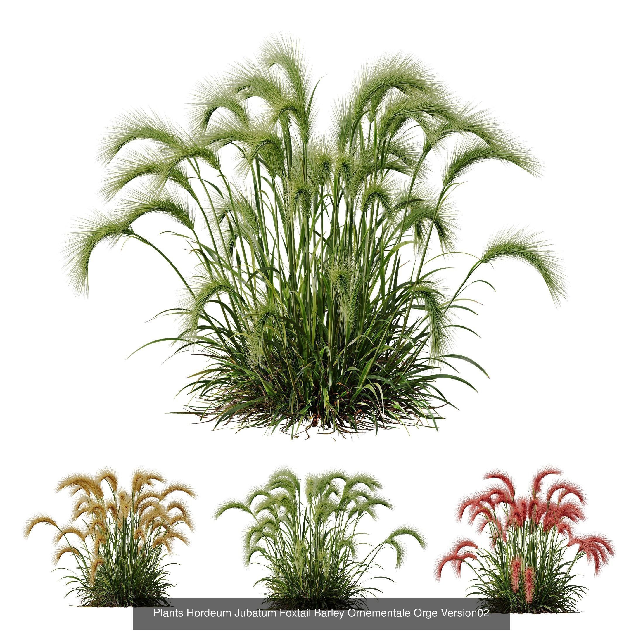  6 Different SETS of Grass Bush SET VOL19 3D Model Collection_2