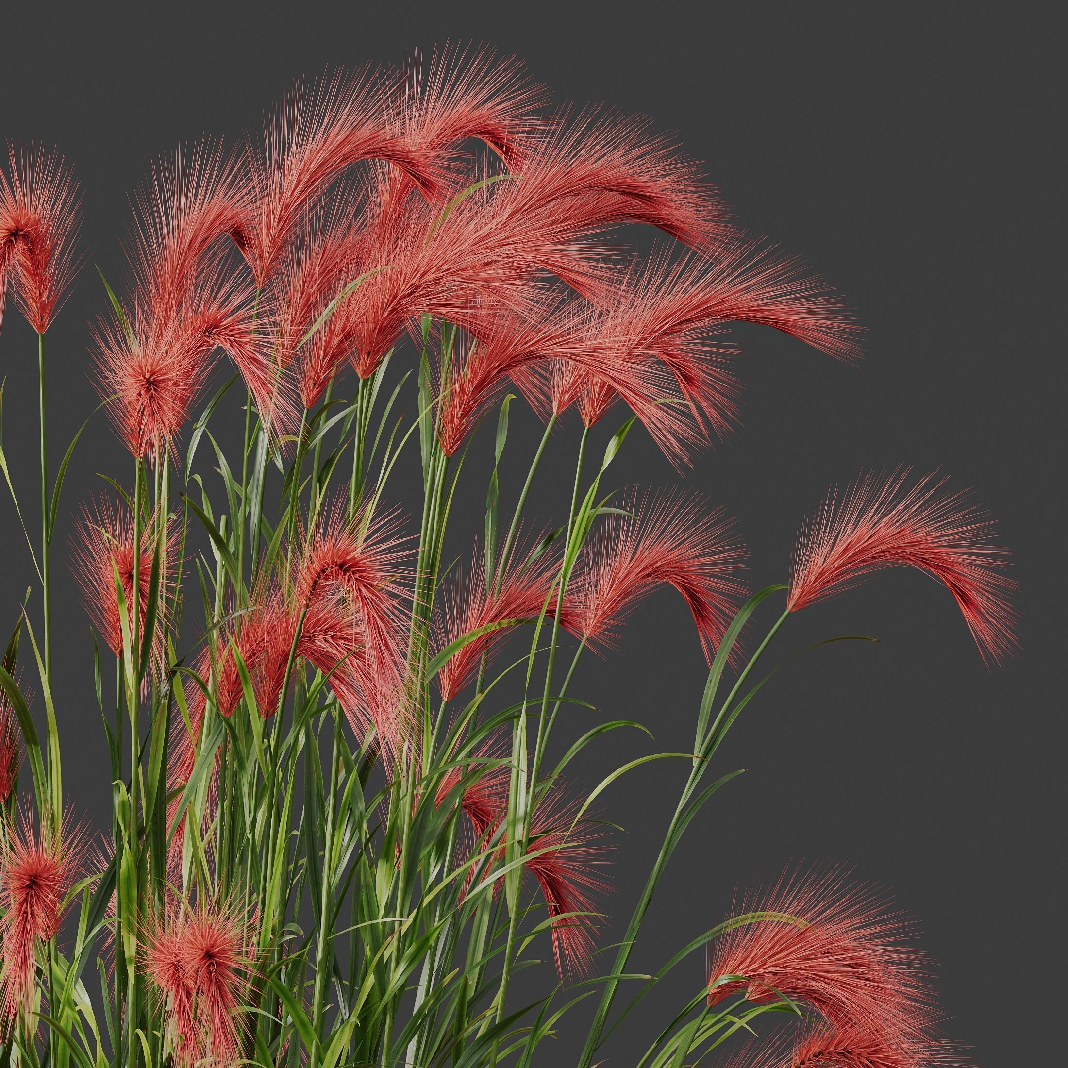  6 Different SETS of Grass Bush SET VOL19 3D Model Collection_9