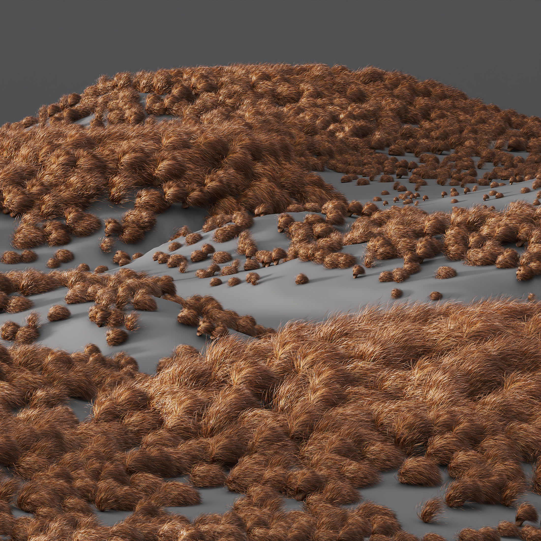  6 Different SETS of Grass Bush SET VOL20 3D Model Collection_16