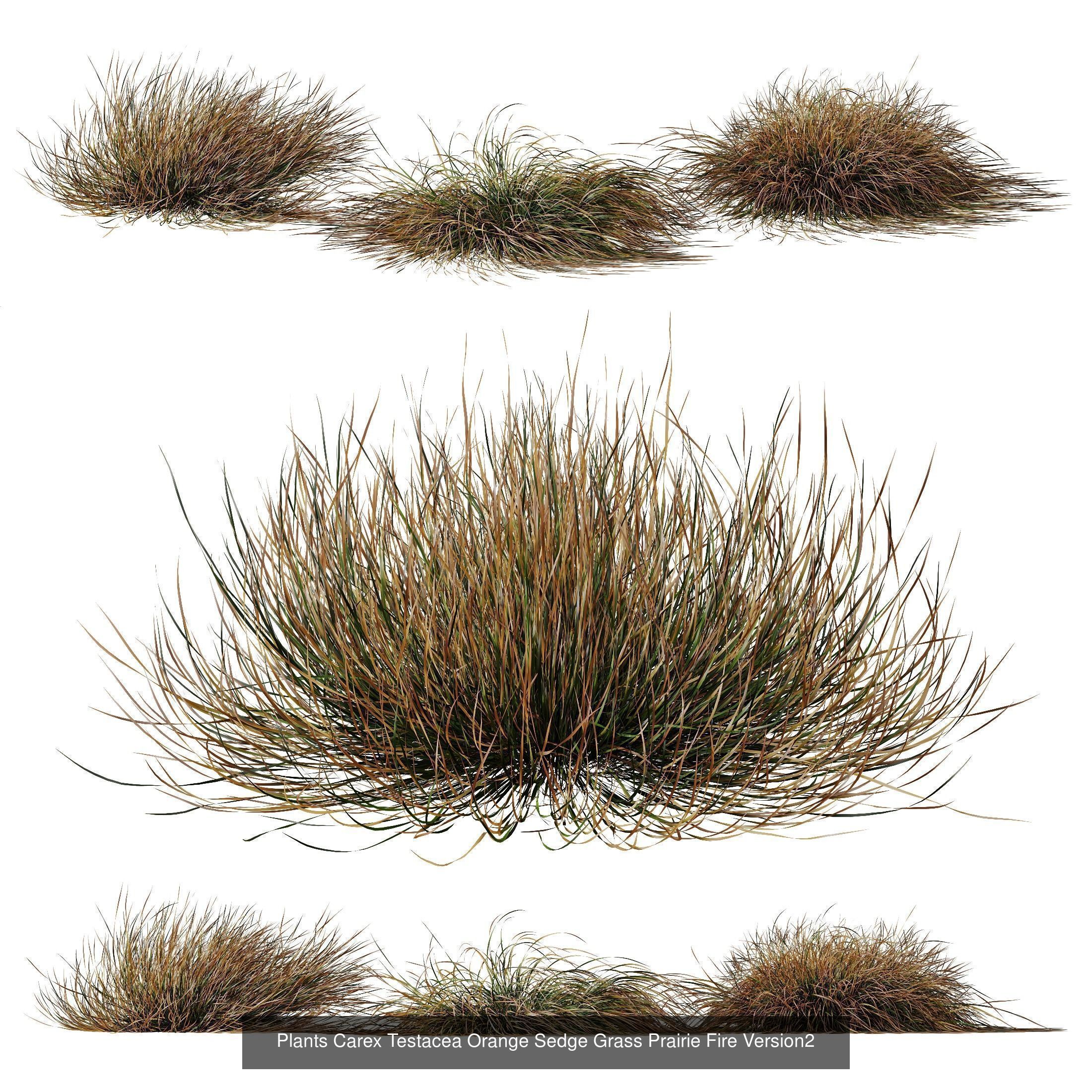  6 Different SETS of Grass Bush SET VOL20 3D Model Collection_3