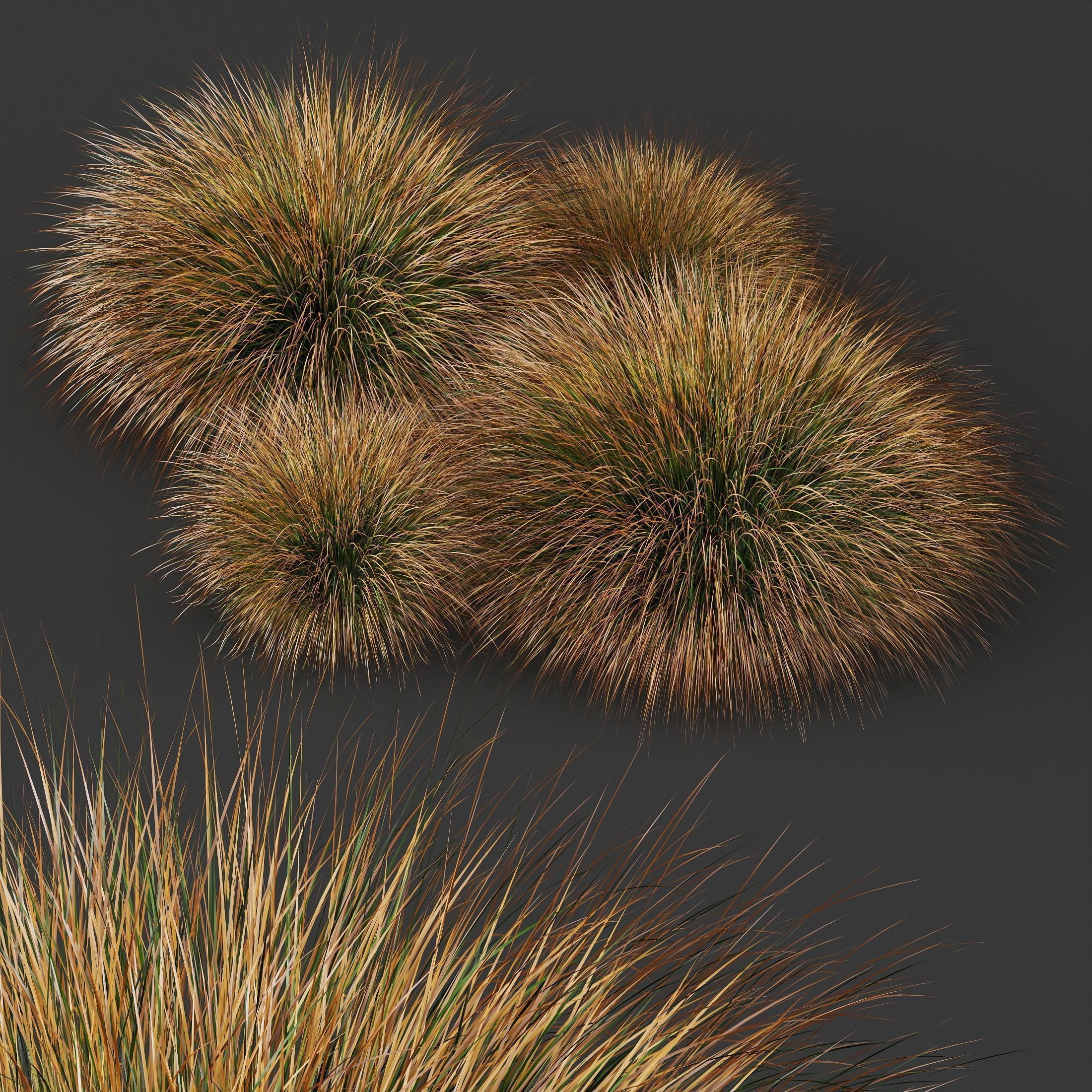 6 Different SETS of Grass Bush SET VOL20 3D Model Collection_13