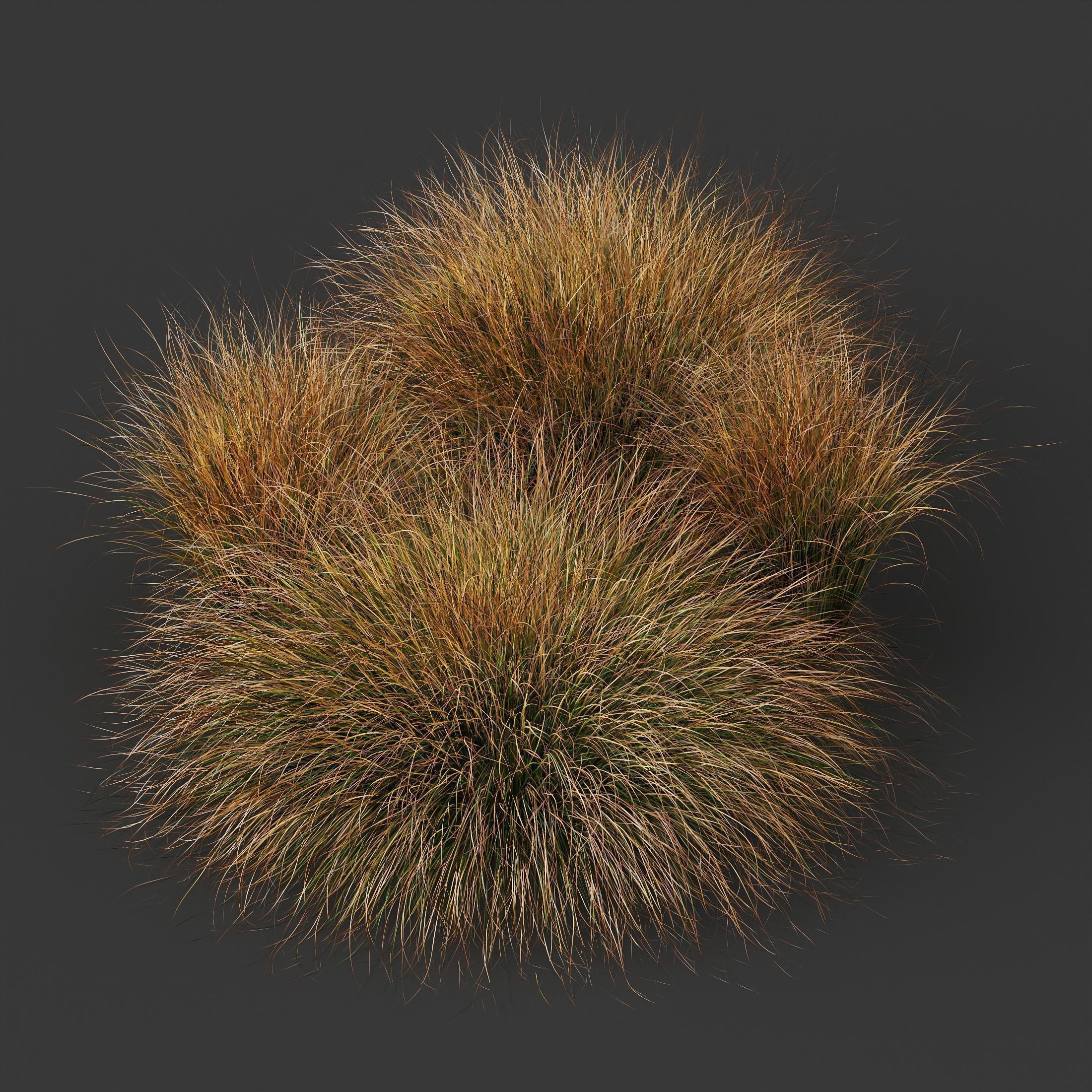  6 Different SETS of Grass Bush SET VOL20 3D Model Collection_10