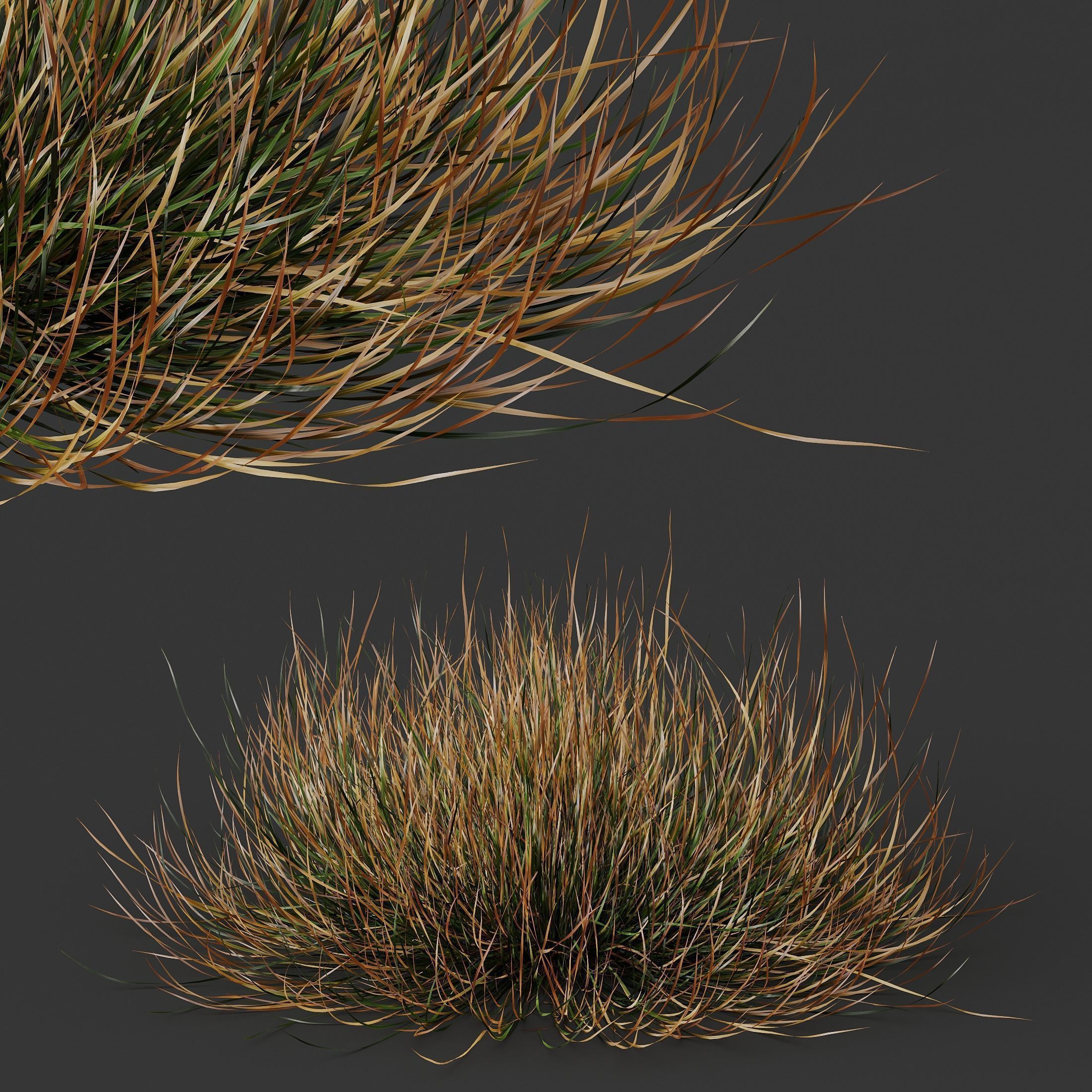  6 Different SETS of Grass Bush SET VOL20 3D Model Collection_9