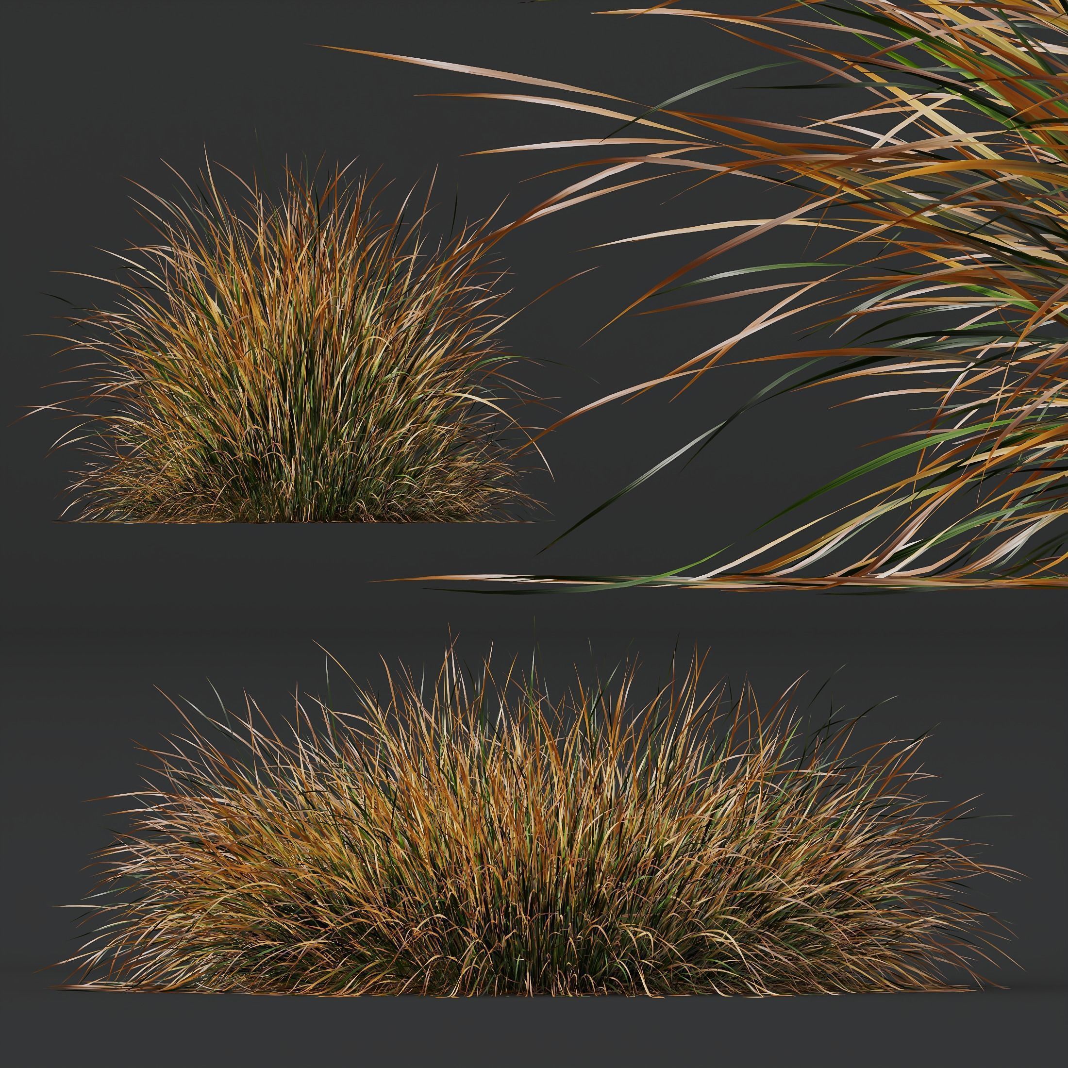  6 Different SETS of Grass Bush SET VOL20 3D Model Collection_8