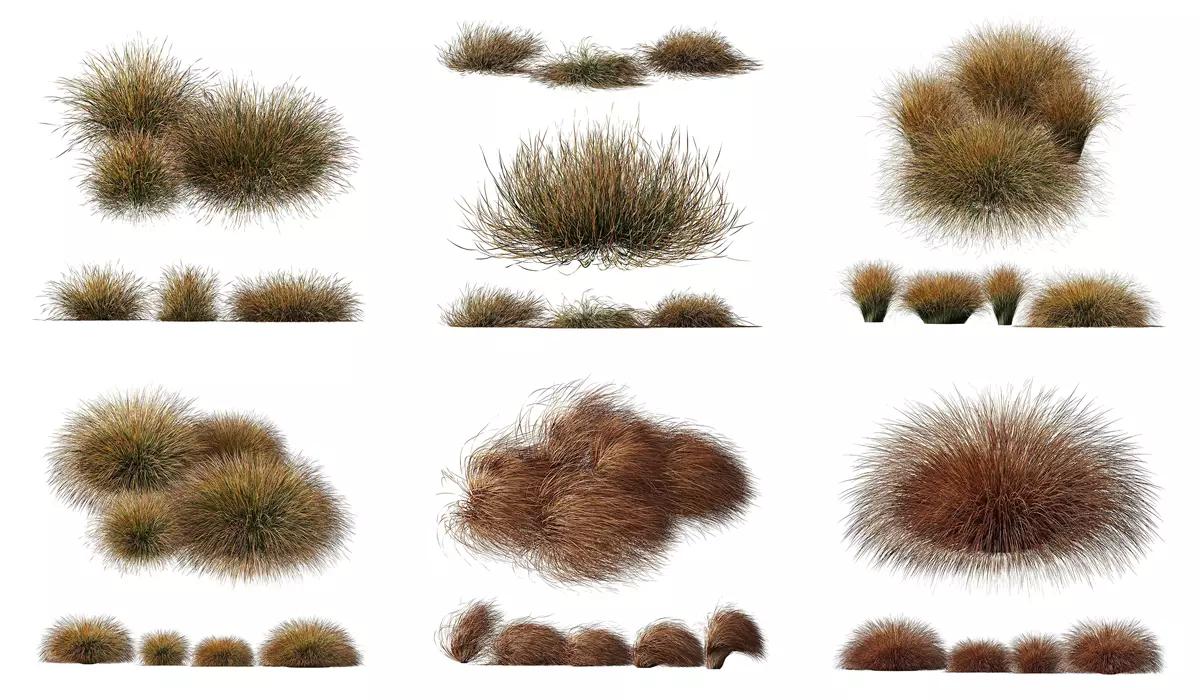  6 Different SETS of Grass Bush SET VOL20 3D Model Collection_0