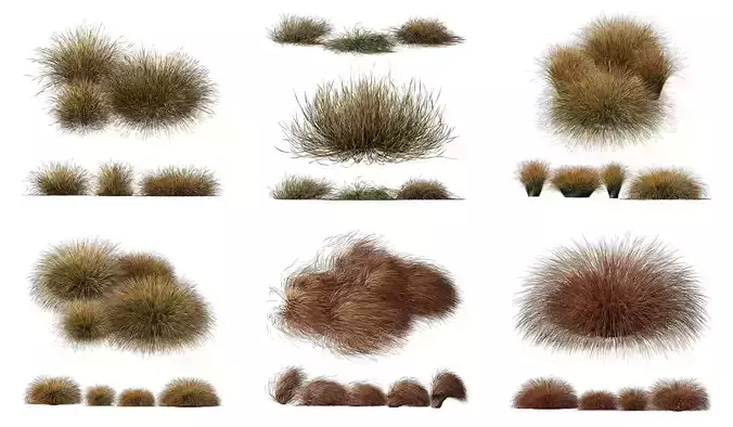  6 Different SETS of Grass Bush SET VOL20 3D Model Collection