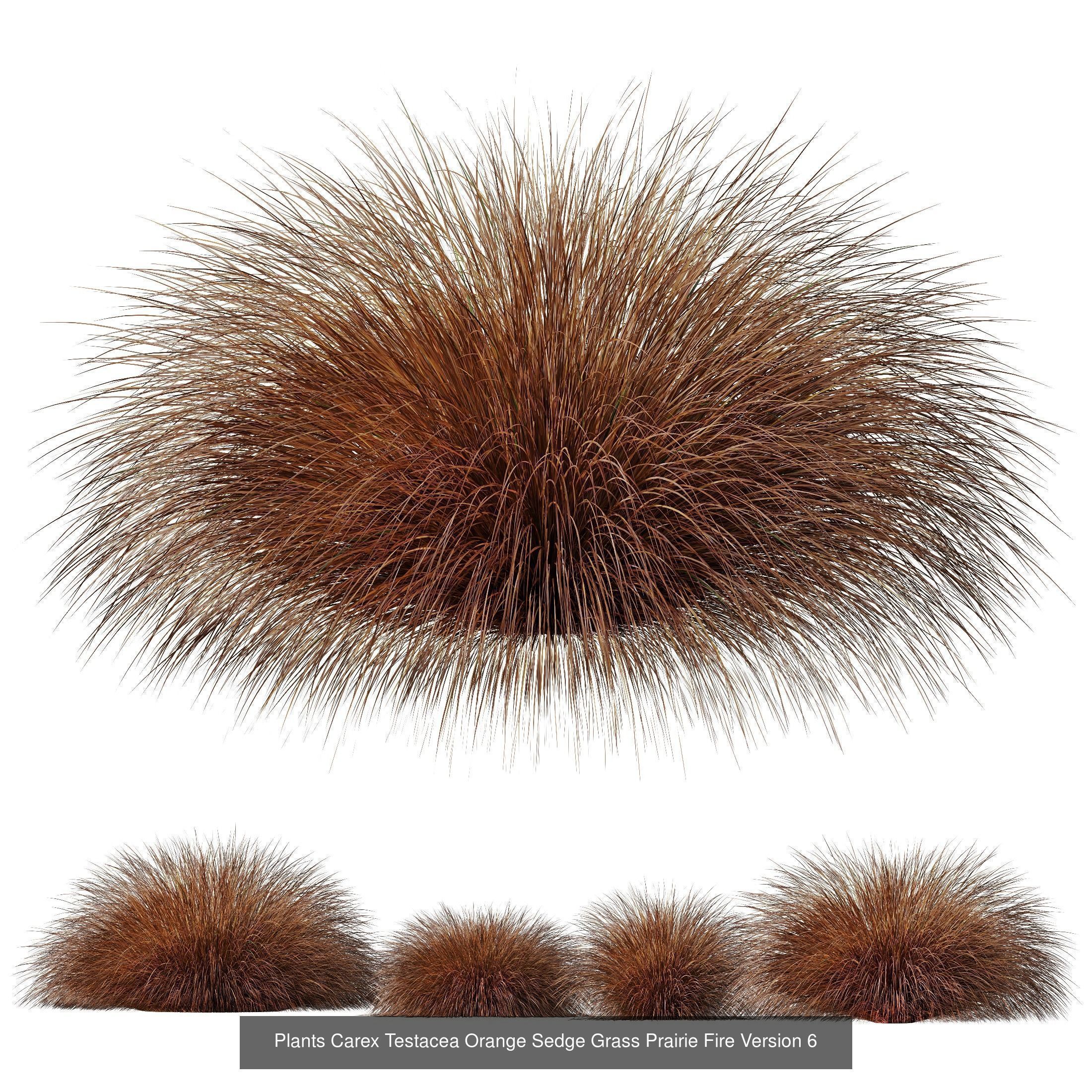  6 Different SETS of Grass Bush SET VOL20 3D Model Collection_6