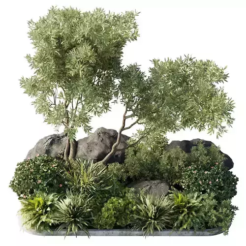 Collection outdoor indoor 165 pot plant tree bush