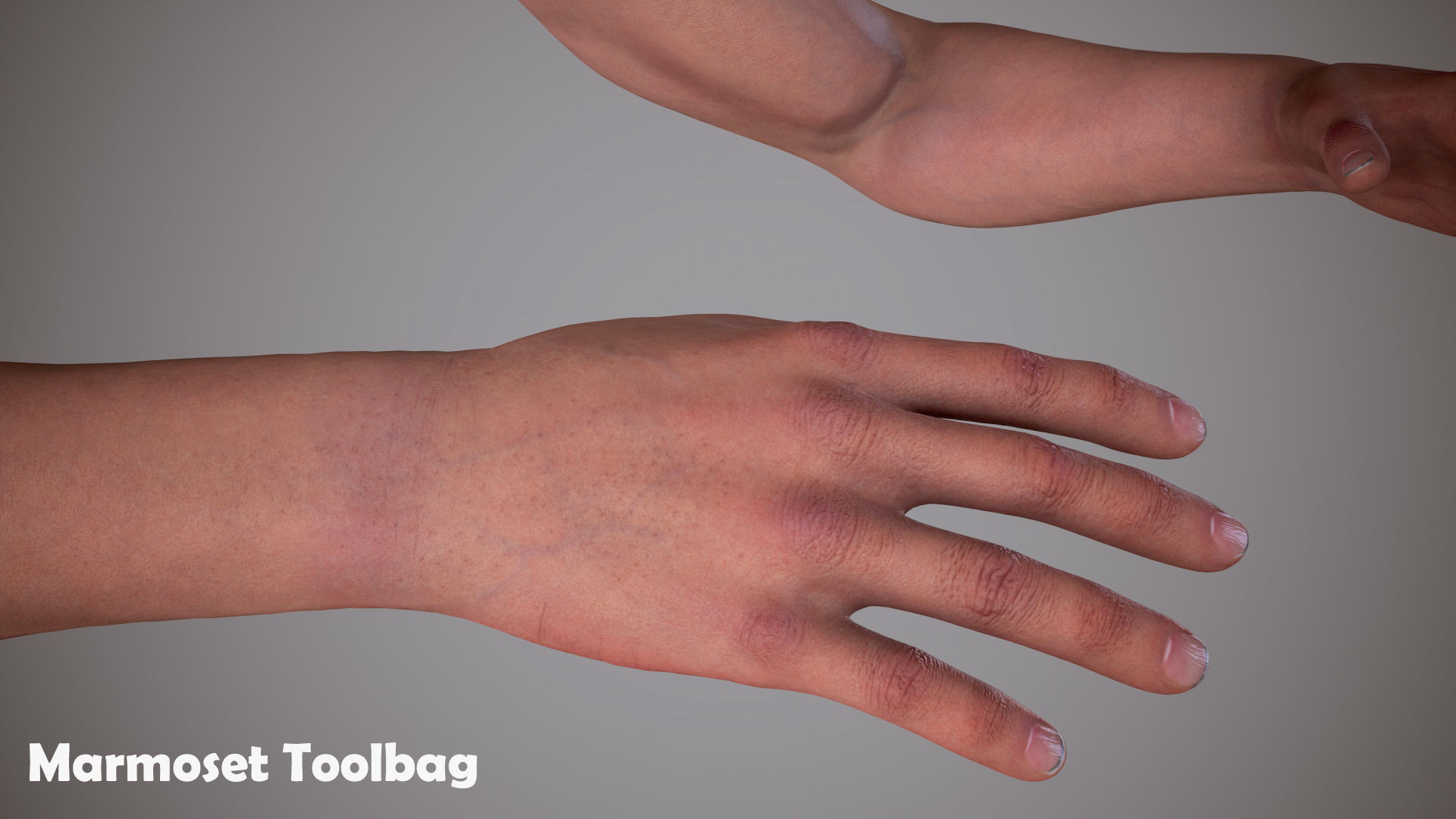 FPS Arms 01 Low-poly 3D model_7