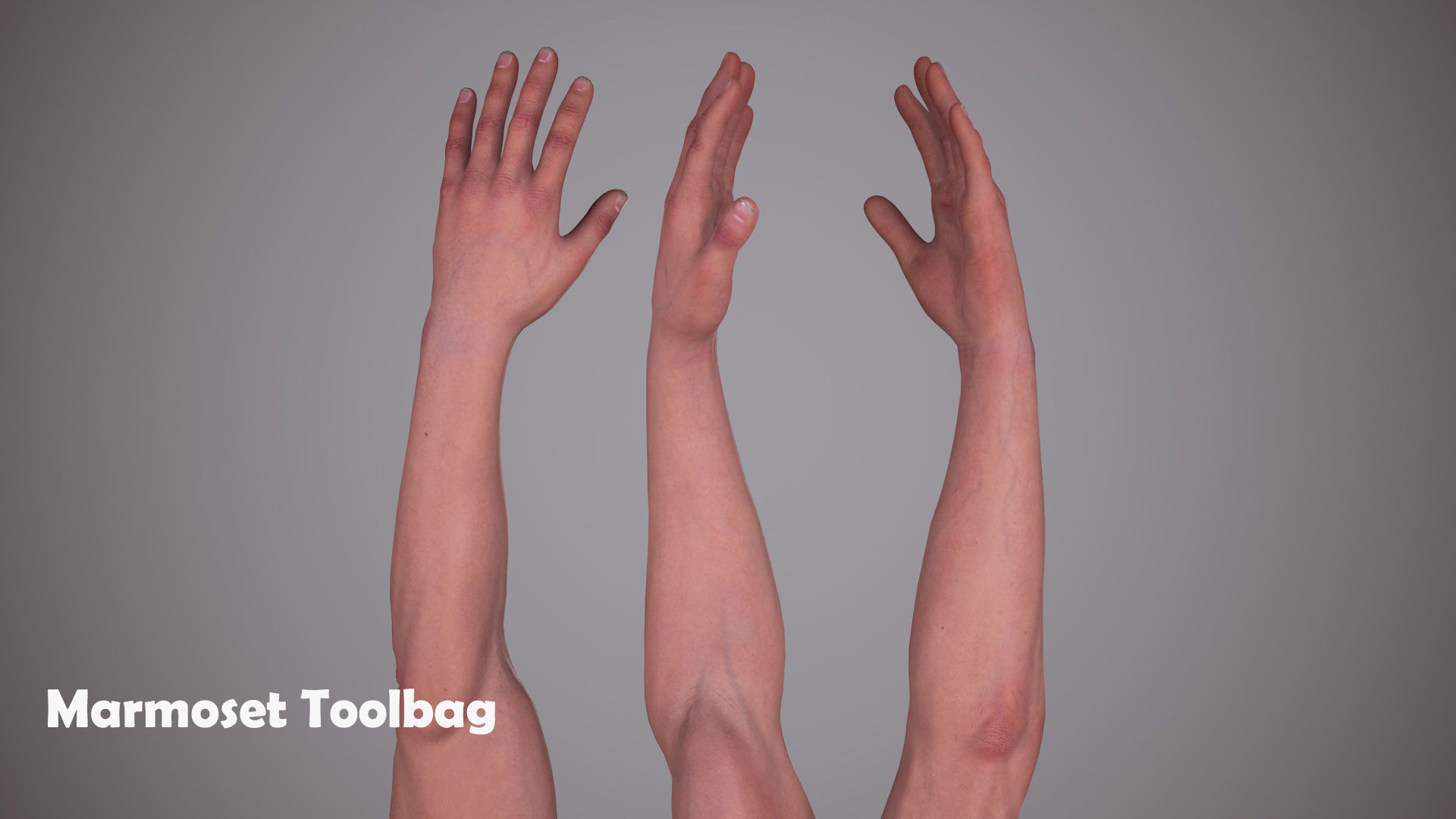 FPS Arms 01 Low-poly 3D model_11