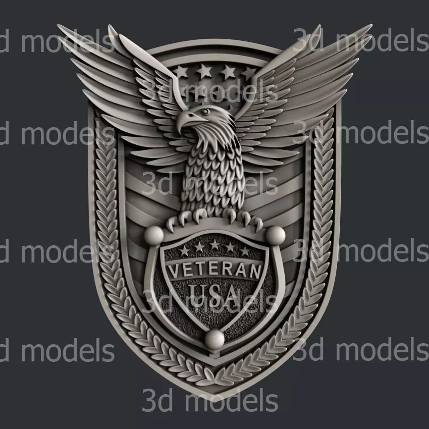 3d STL models for CNC or 3d printer USA veteran P458 3D model_0