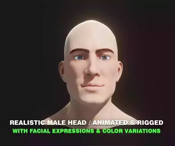 Realistic Male Head 3D Model Animated with Facial Expressions Low-poly 3D model