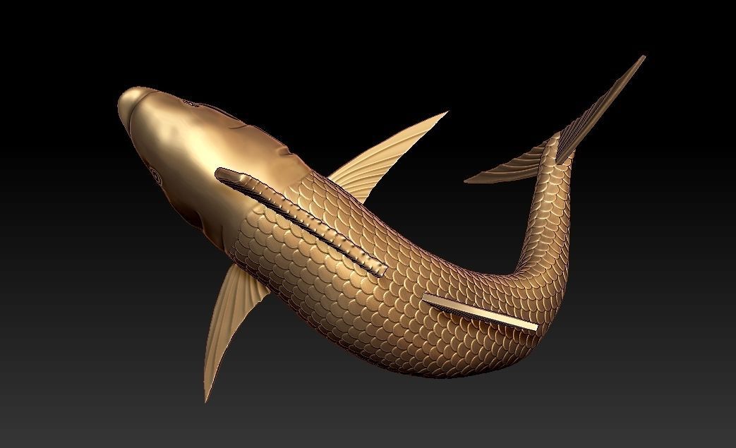 Yellow fin tuna fish 3D print model_3