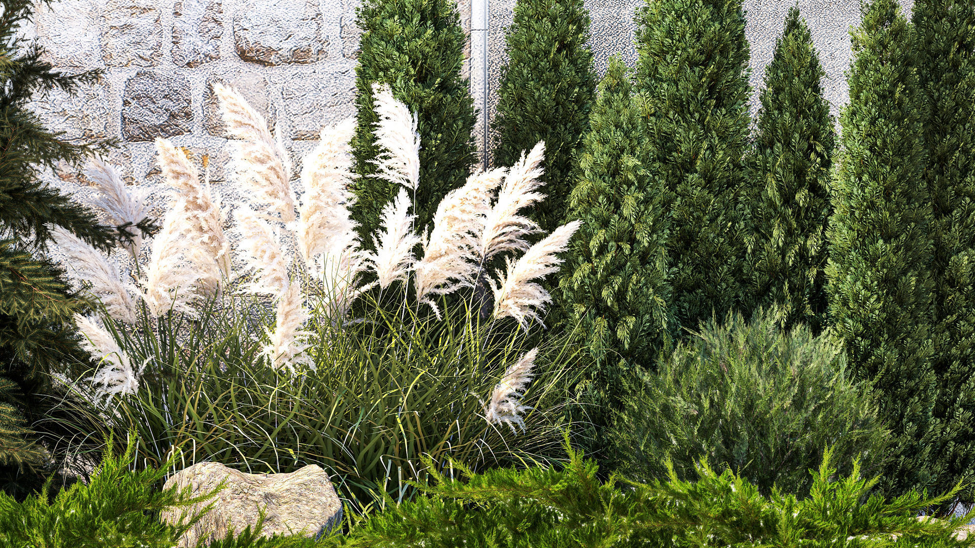 Garden with thuja cypress tree and pampas grass reed grass 1383 3D model_3