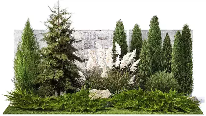 Garden with thuja cypress tree and pampas grass reed grass 1383
