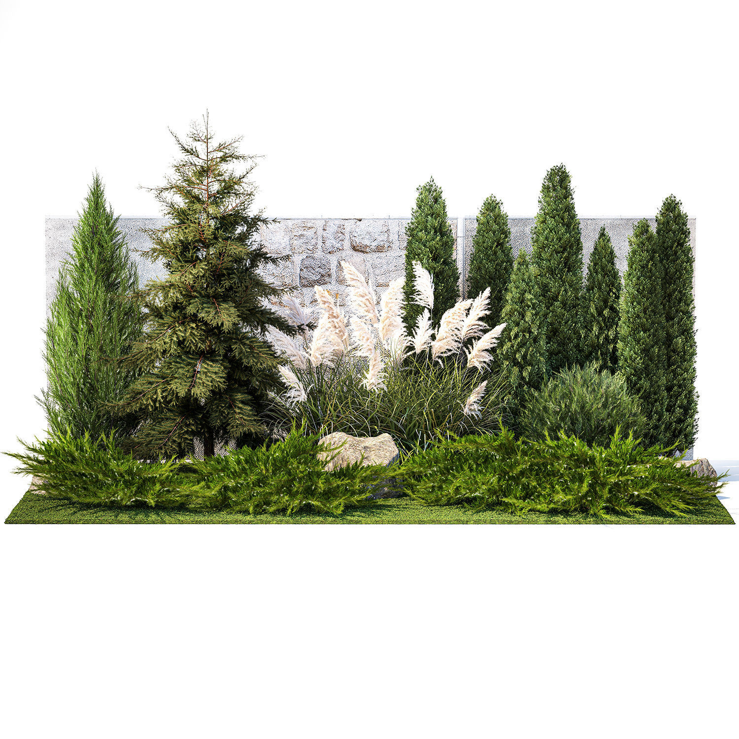 Garden with thuja cypress tree and pampas grass reed grass 1383 3D model_7