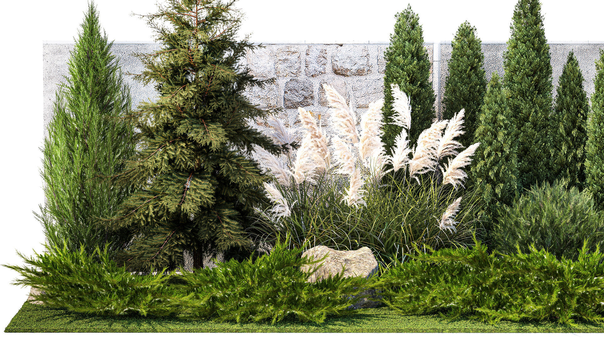 Garden with thuja cypress tree and pampas grass reed grass 1383 3D model_1