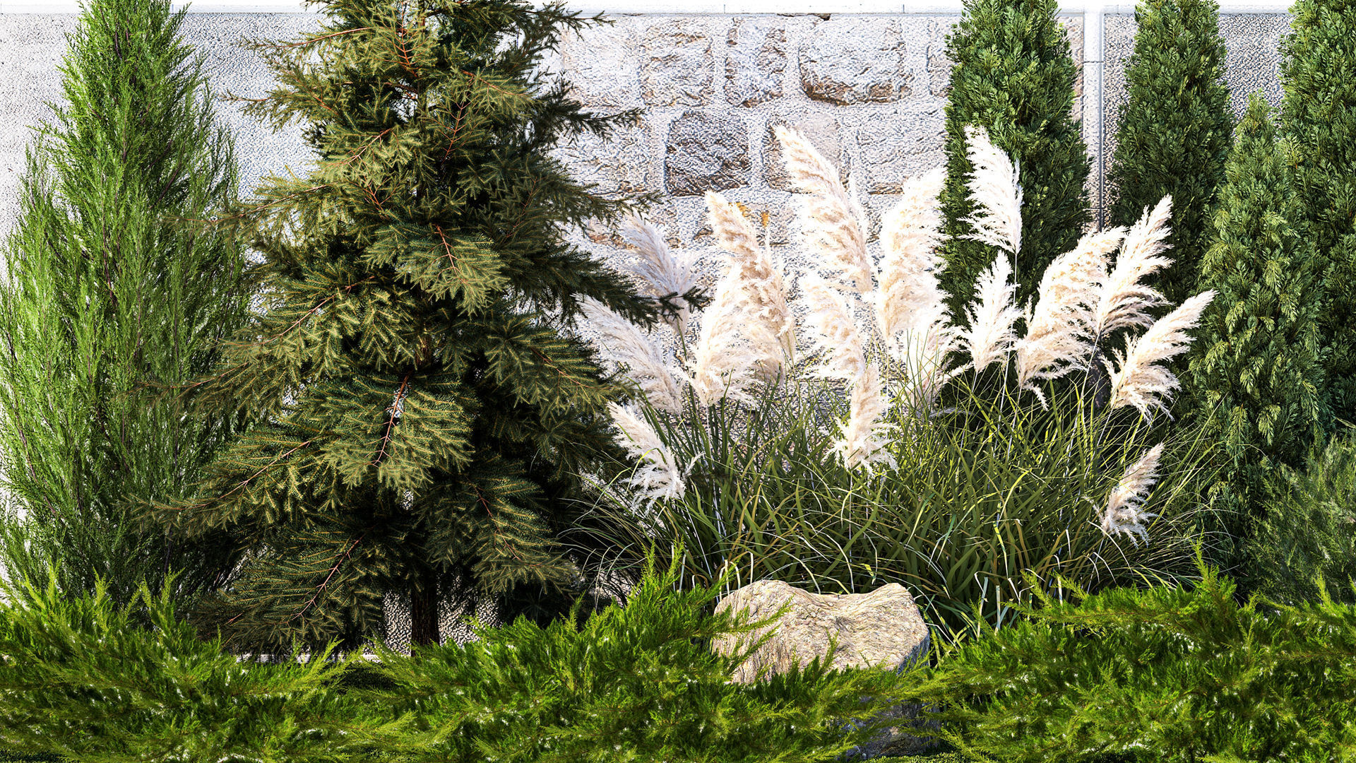 Garden with thuja cypress tree and pampas grass reed grass 1383 3D model_2