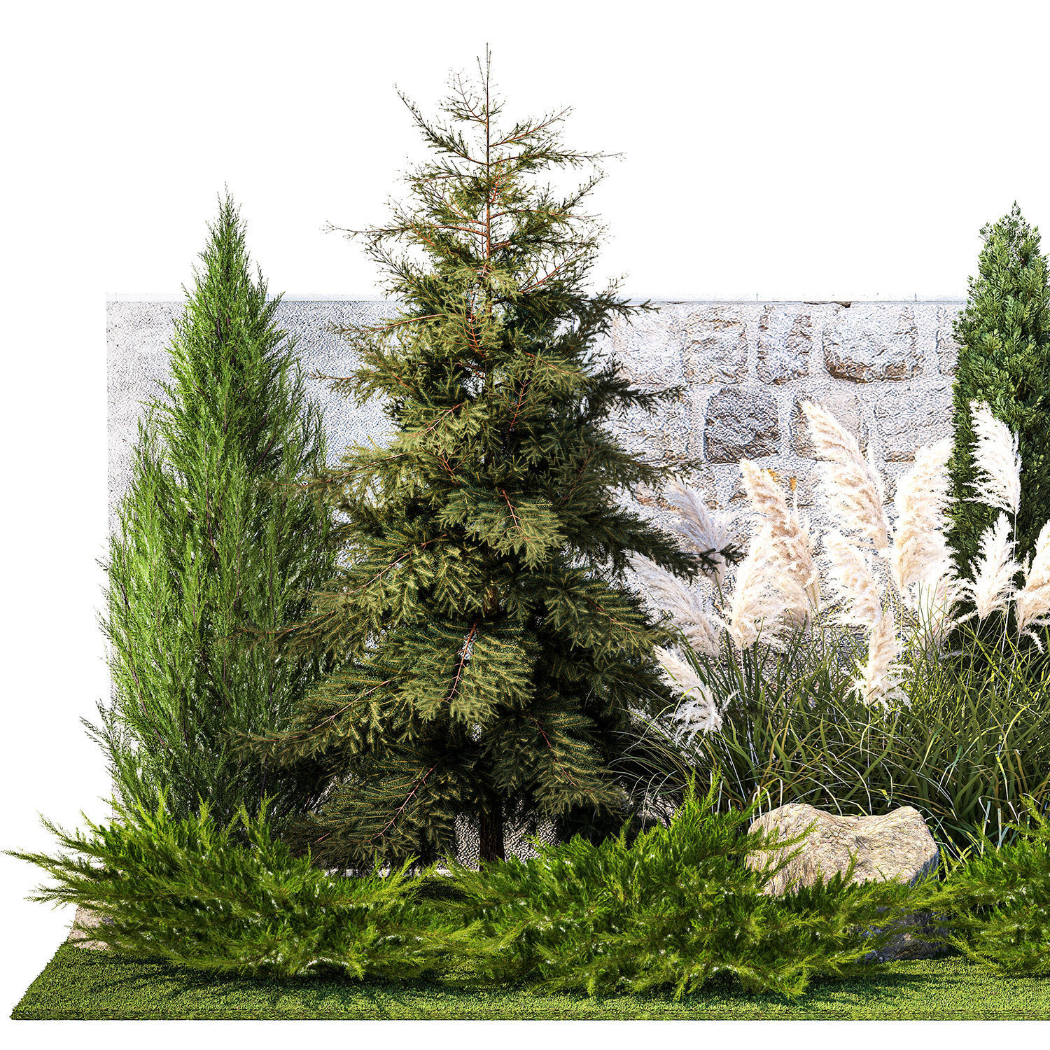 Garden with thuja cypress tree and pampas grass reed grass 1383 3D model_8