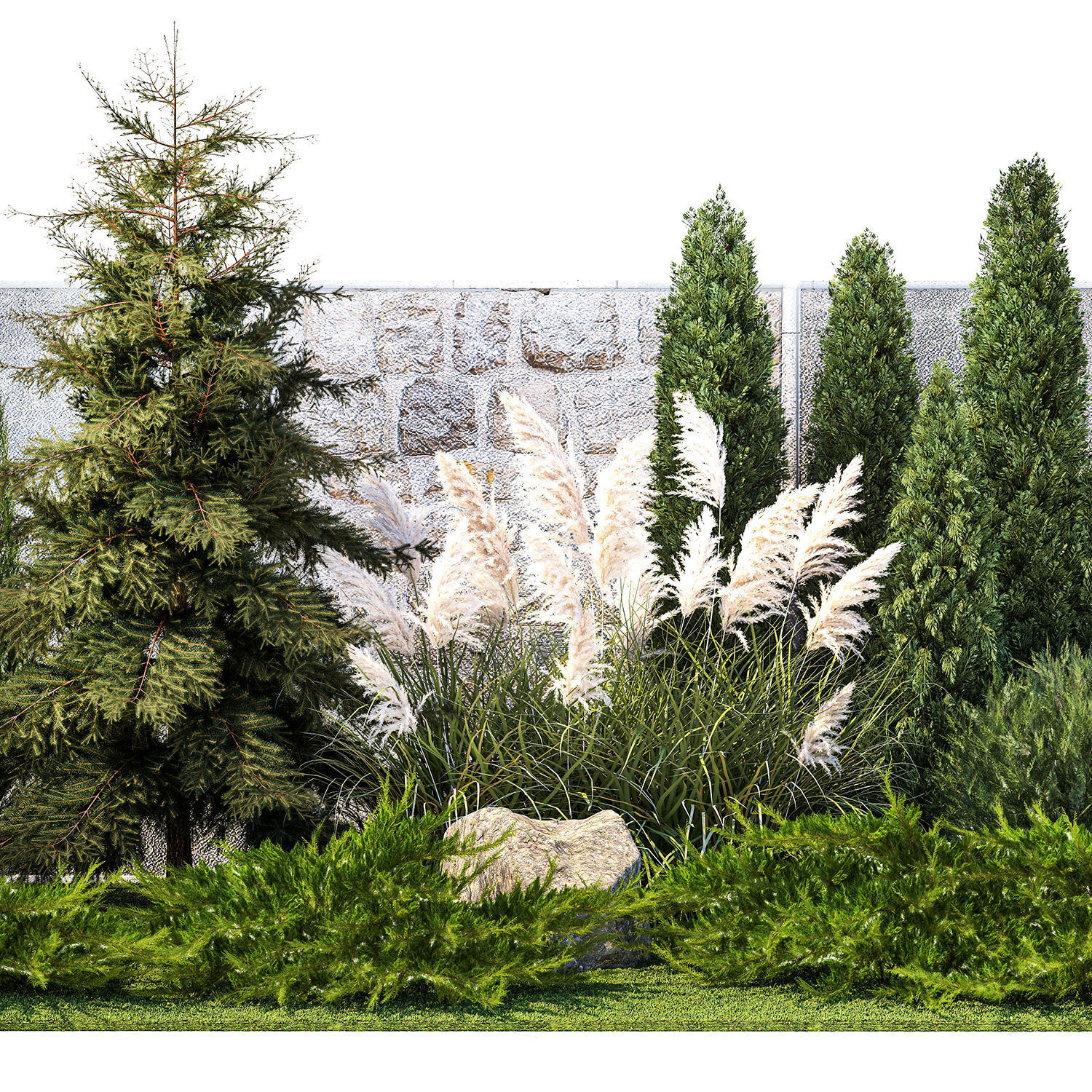 Garden with thuja cypress tree and pampas grass reed grass 1383 3D model_9