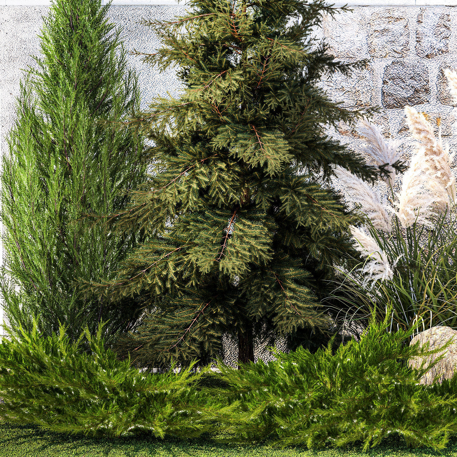 Garden with thuja cypress tree and pampas grass reed grass 1383 3D model_11