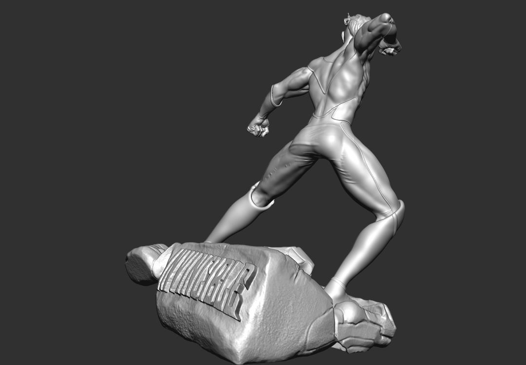 Invincible 3D print model_21