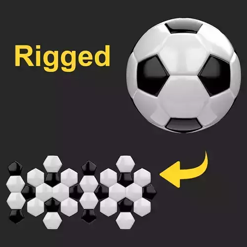 Football 3D model rigged 3D model