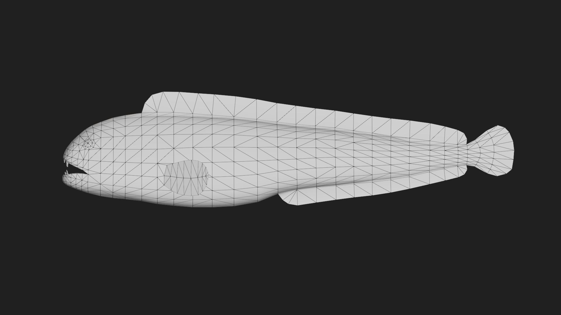 Wolffish Low-poly 3D model_1