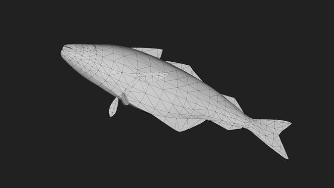 Cod fish Low-poly 3D model 4