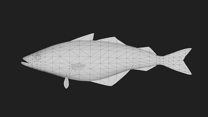 Cod fish Low-poly 3D model 2