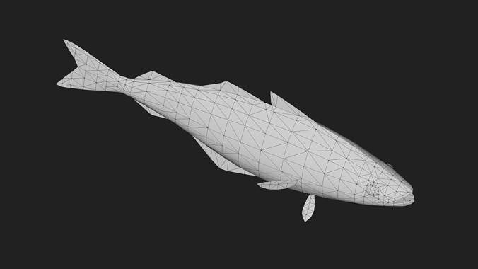 Cod fish Low-poly 3D model 6