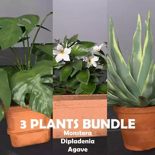 3 PLANT BUNDLE Monstera Agave Dipladenia Low-poly 3D model