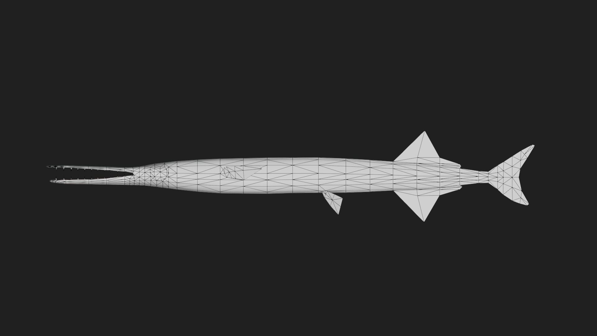 Garfish Low-poly 3D model_1