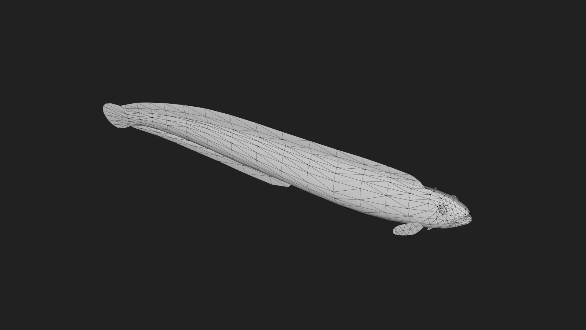 Gunnel Low-poly 3D model_5