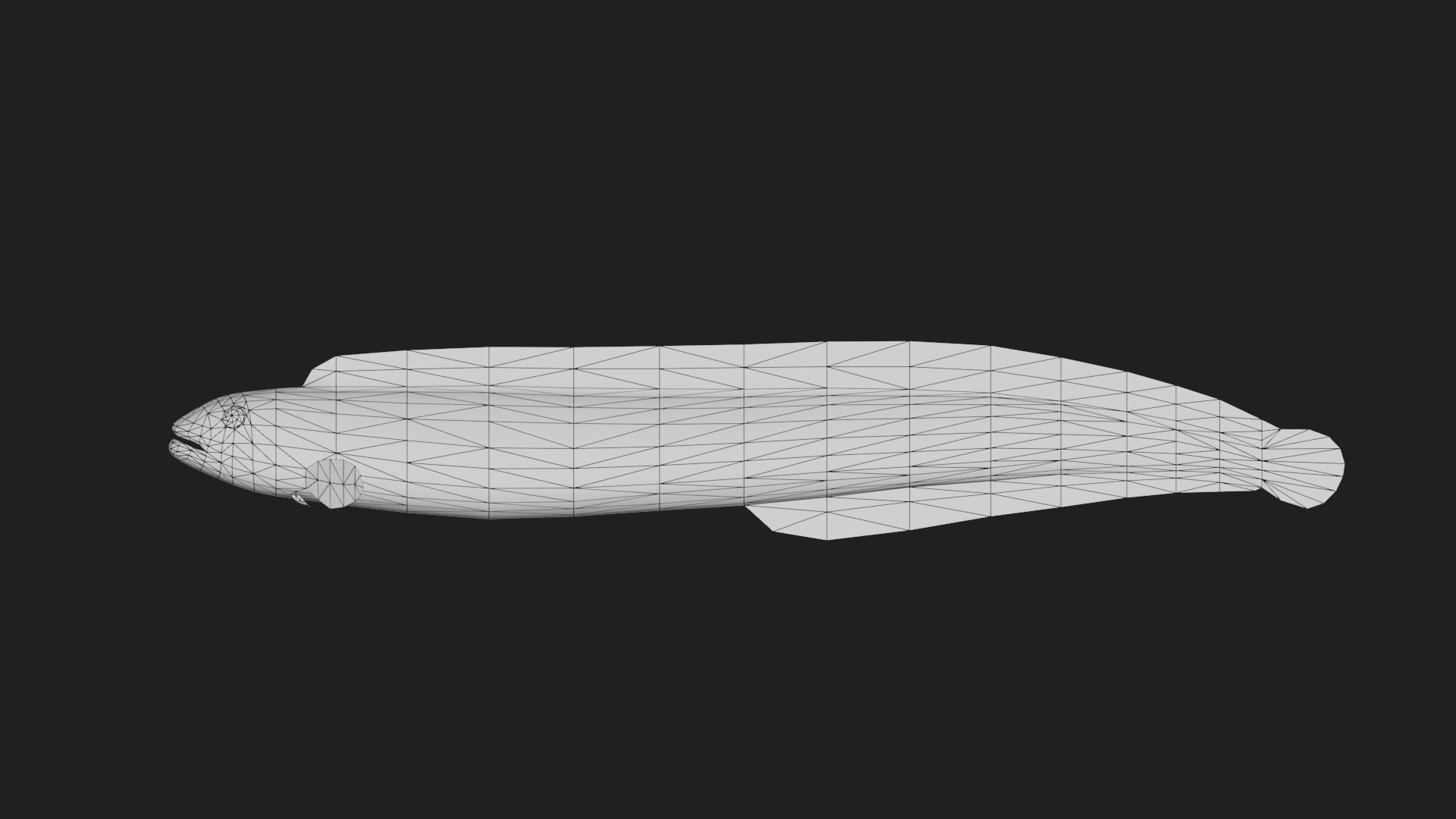 Gunnel Low-poly 3D model_1