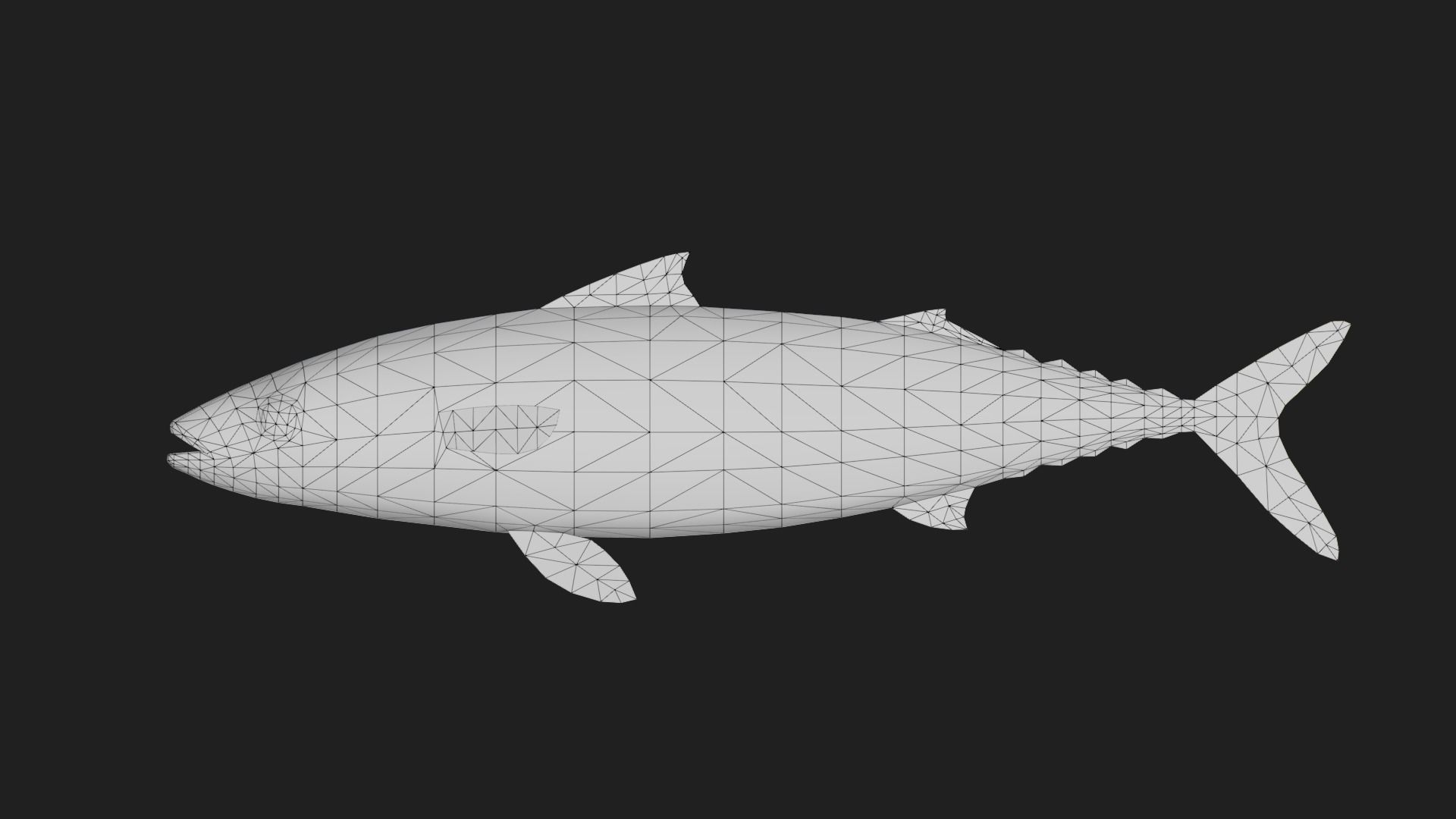 Mackerel Low-poly 3D model_1