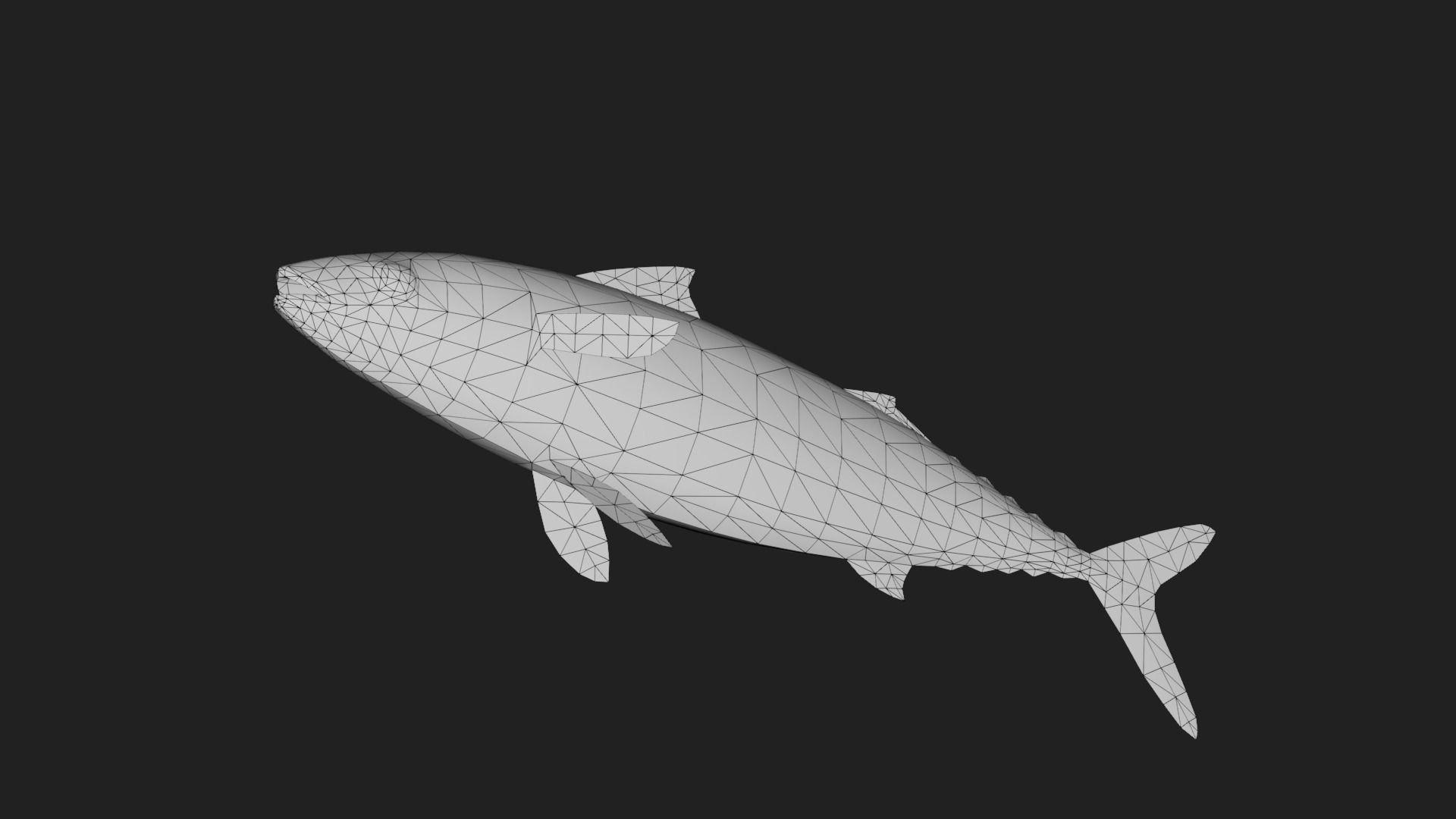 Mackerel Low-poly 3D model_3