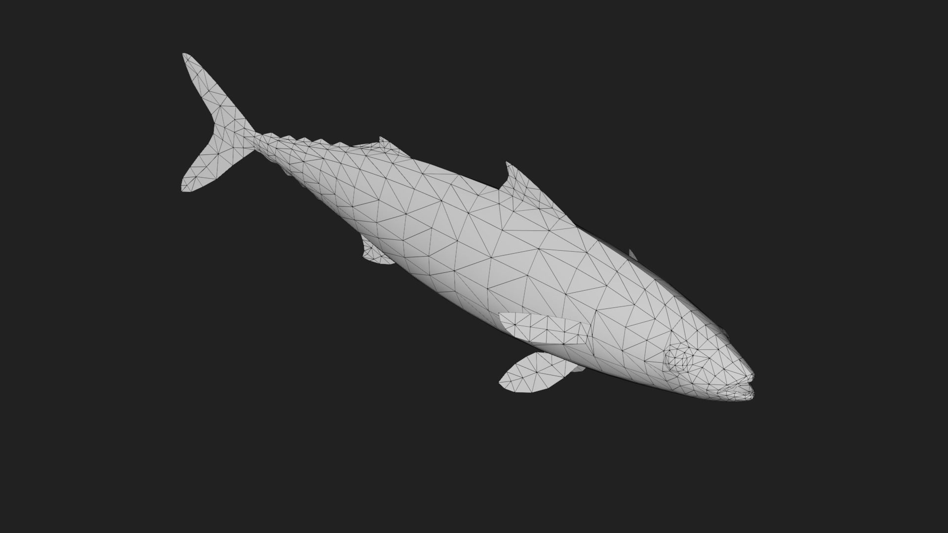 Mackerel Low-poly 3D model_5