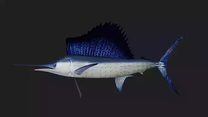 Sailfish Low-poly 3D model