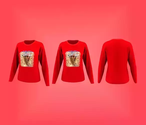 Women Chest Printed LS Raglan Fashion Tee