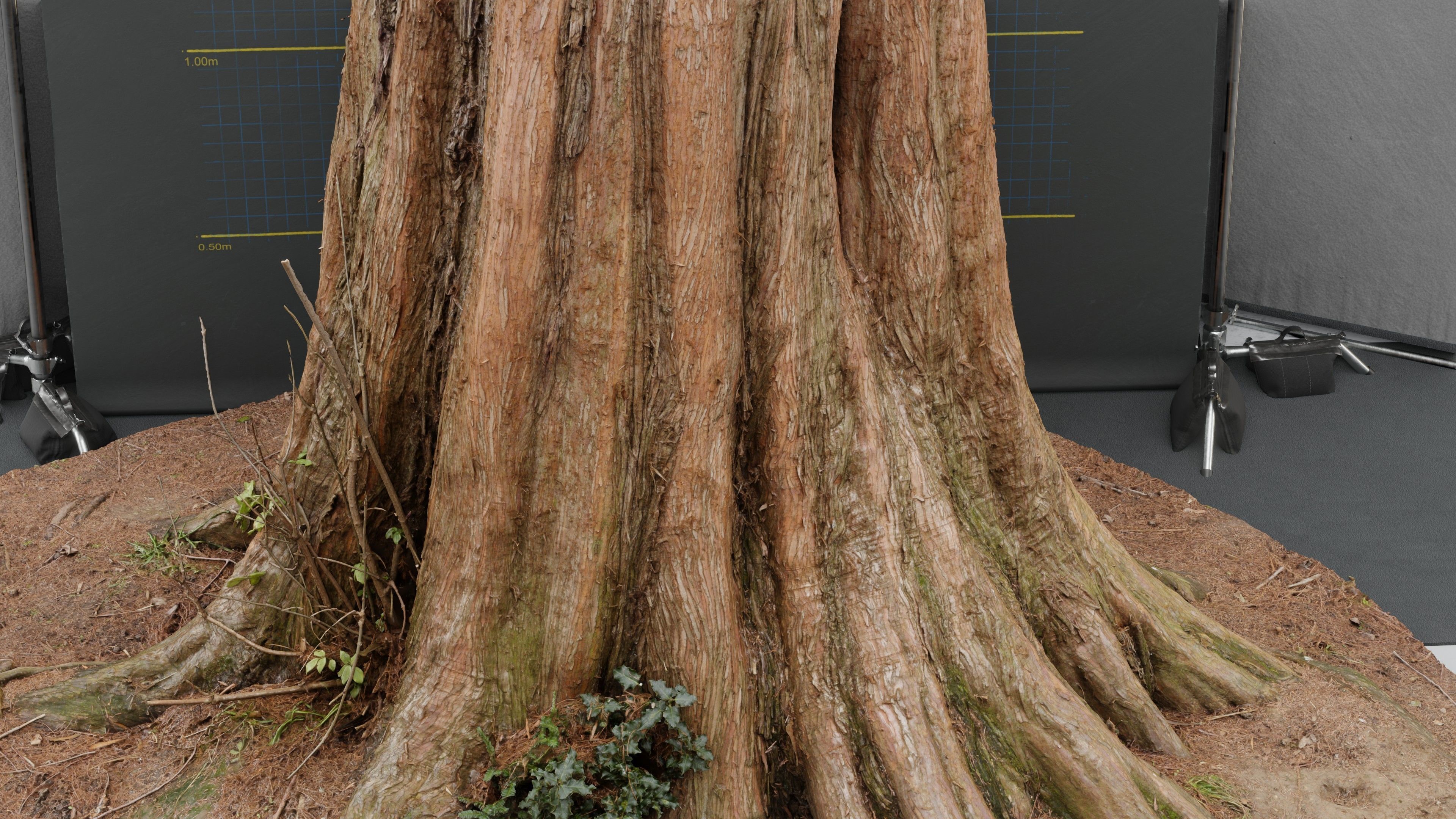 Photogrammetry Model of a Dawn Red Wood Tree Low-poly 3D model_5