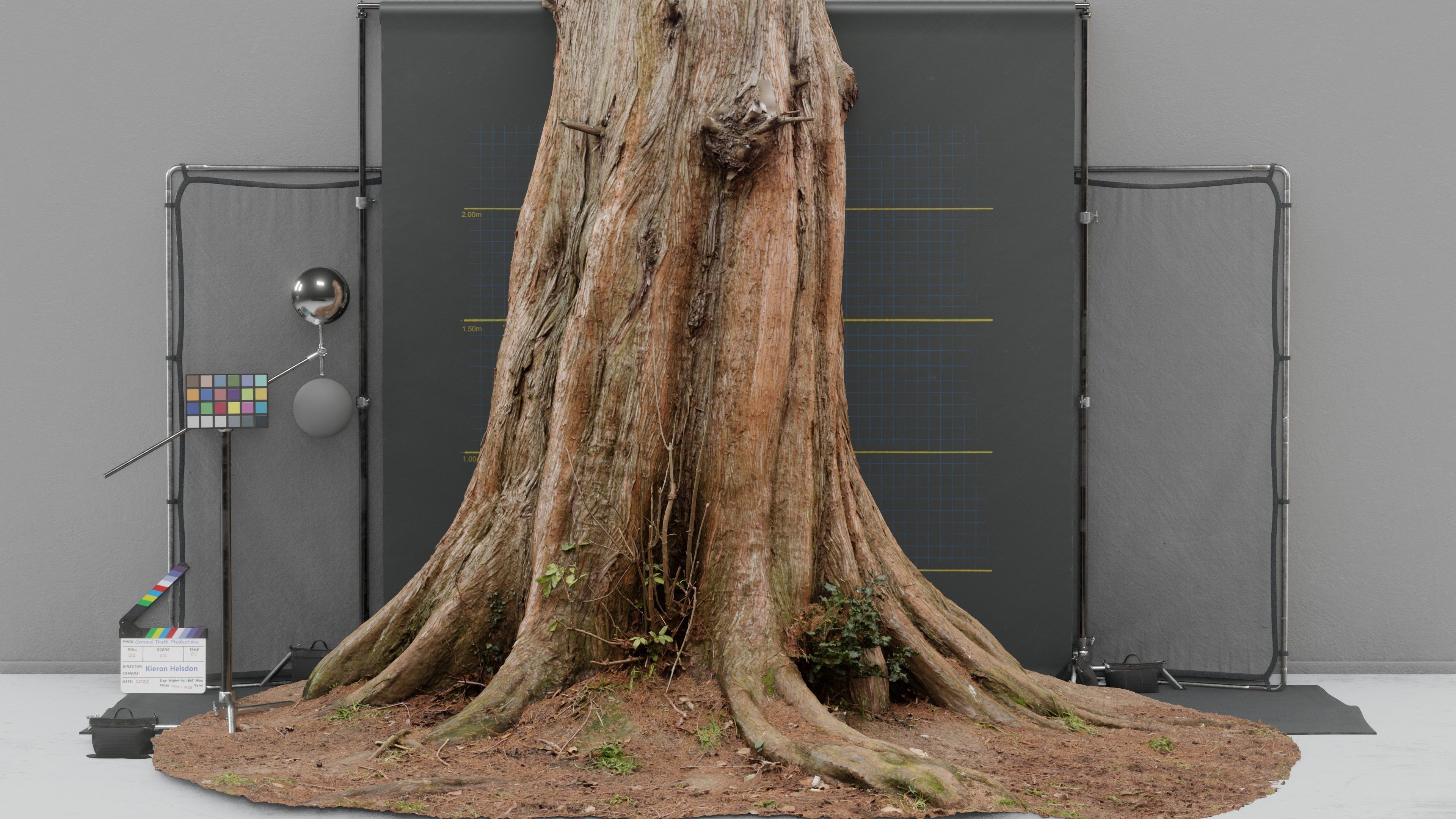 Photogrammetry Model of a Dawn Red Wood Tree Low-poly 3D model_6