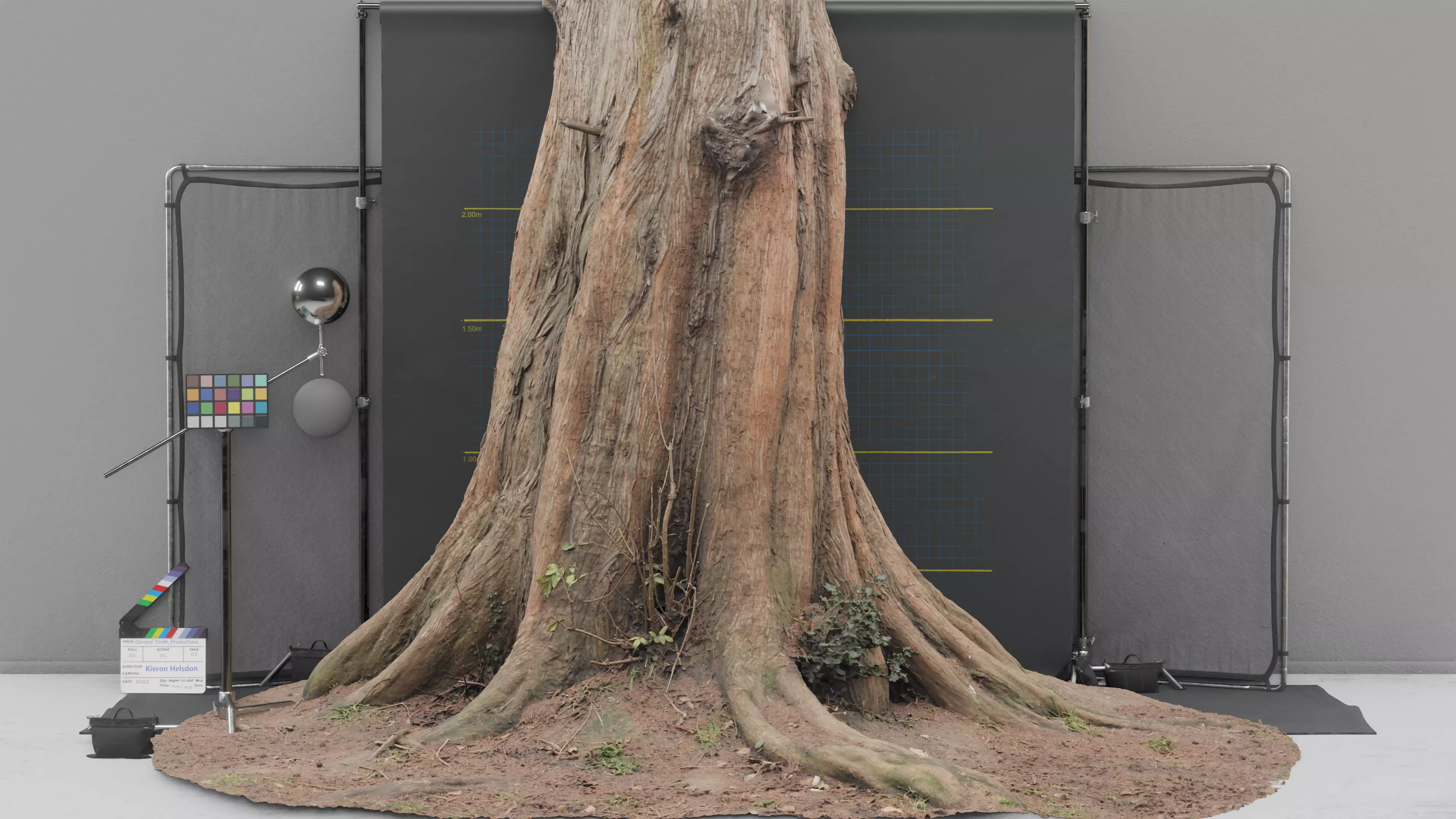 Photogrammetry Model of a Dawn Red Wood Tree Low-poly 3D model_0