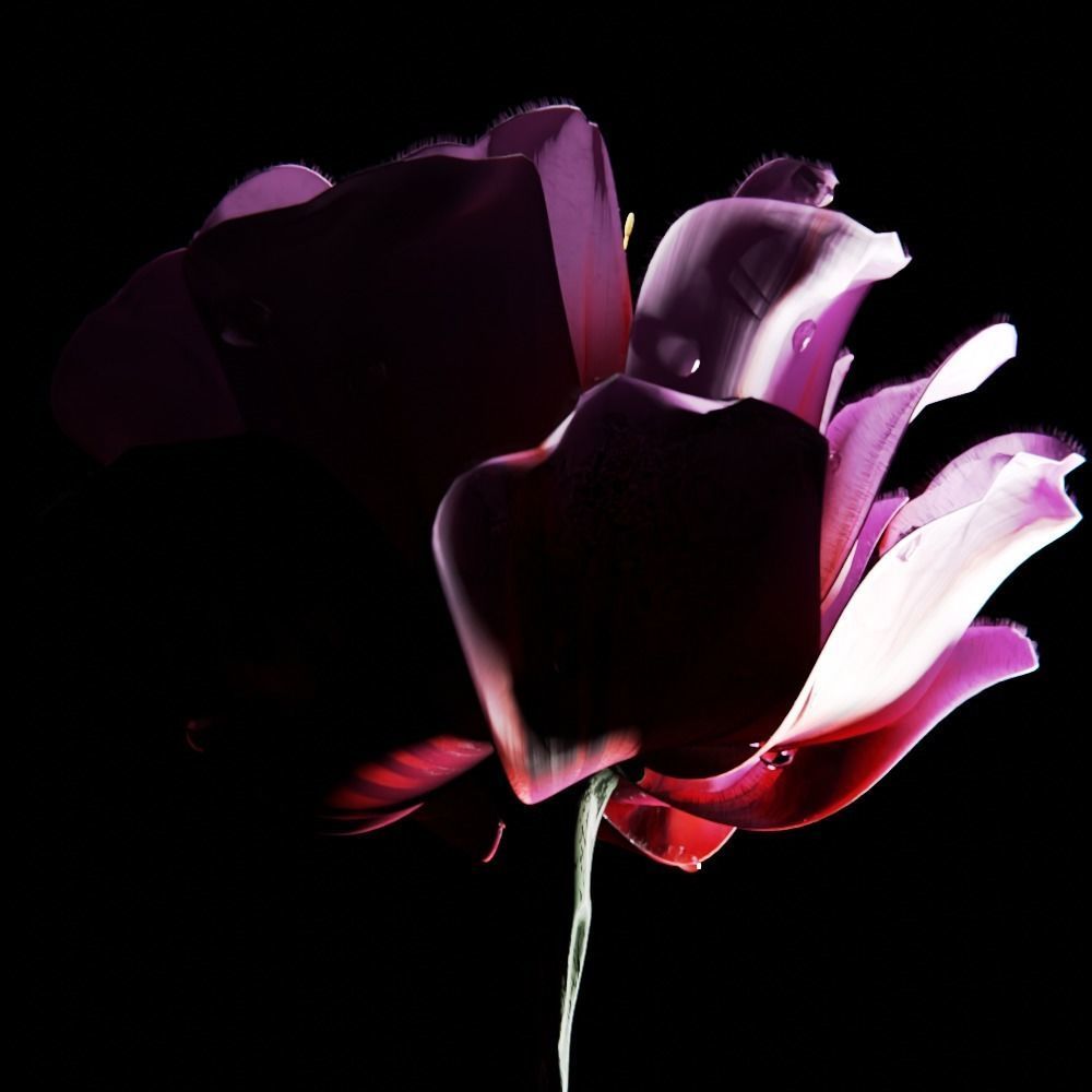 Unique Flower 12 3D model_1