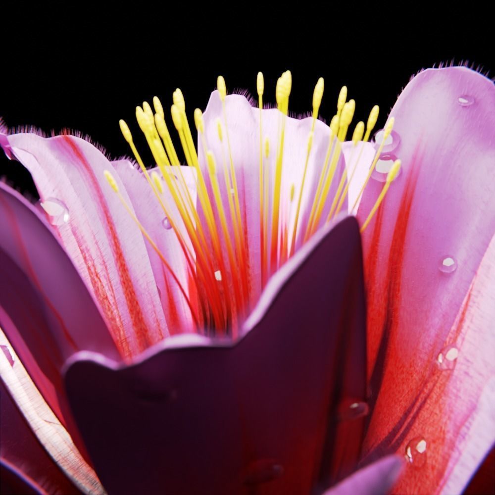 Unique Flower 12 3D model_3