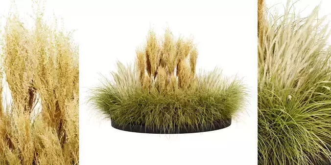 Collection plant vol 521 - blender model