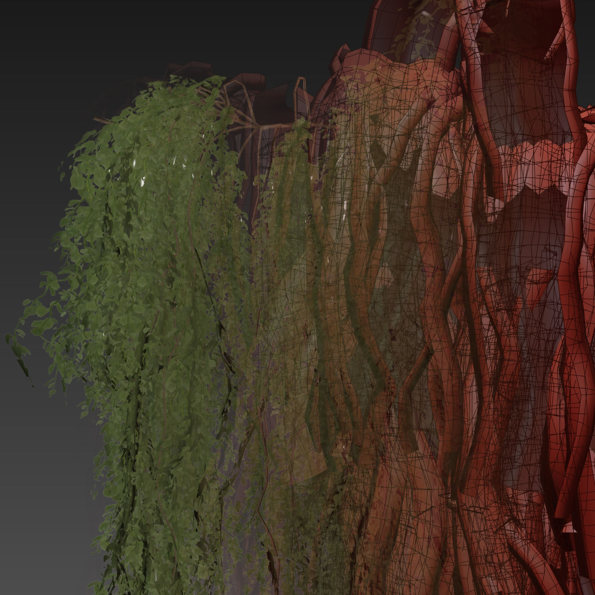 Collection plant vol 522 - bush - Outdoor - ivy 3D model_6