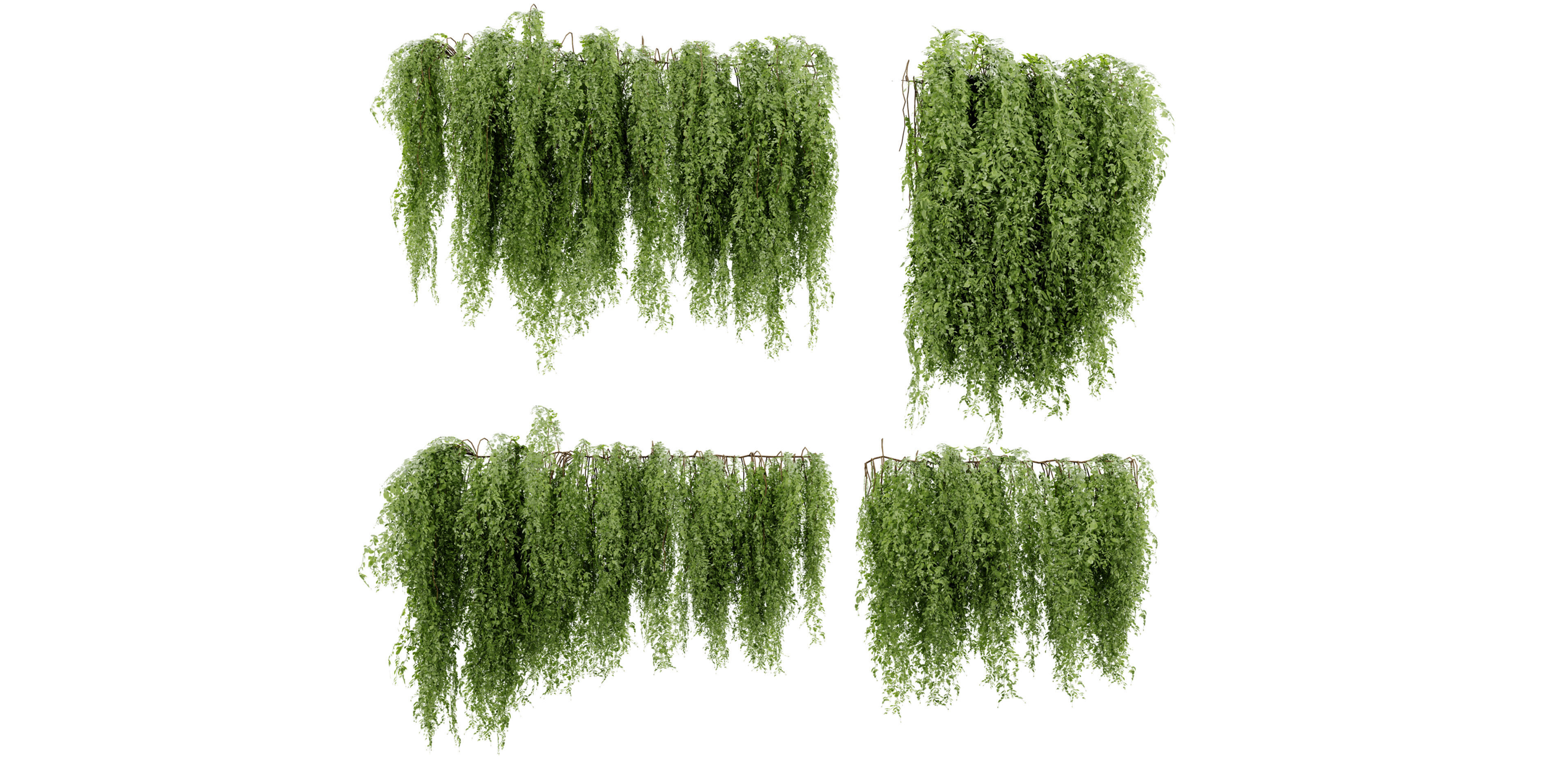 Collection plant vol 522 - blender model 3D model_1