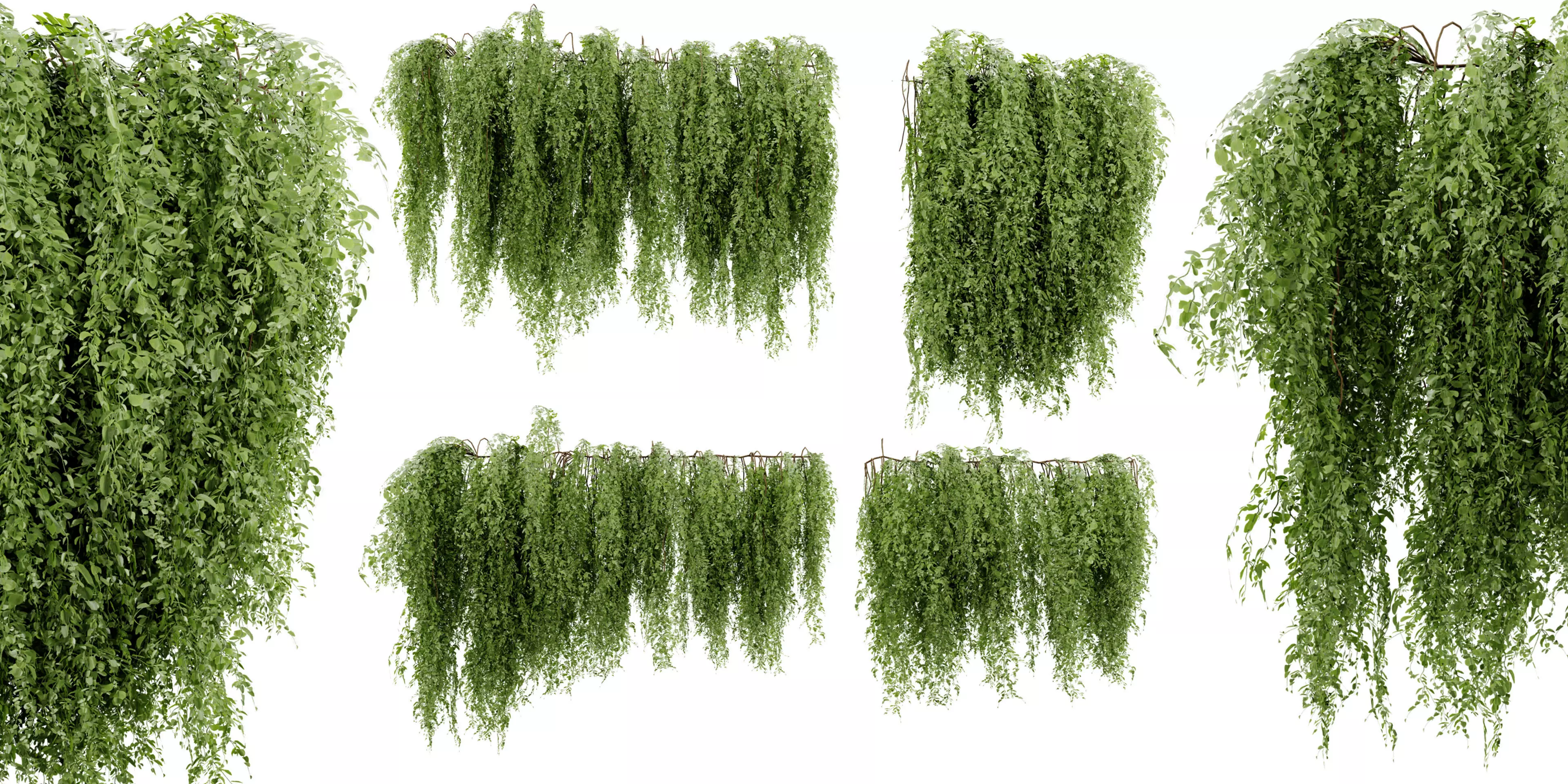 Collection plant vol 522 - blender model 3D model_0